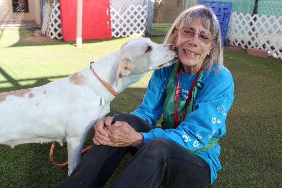 In this Sept. 21, 2019 photo, Marcia Hamilton, a volunteer at Maricopa County Animal Care and Control, plays with Celia at the shelter in Phoenix, Ariz. There are many ways to volunteer at an animal shelter to improve the lives of the animals waiting there for a forever home. (AP Photo/Michelle A. Monroe) (Michelle A.
