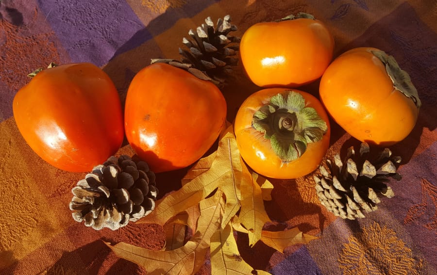 The dark orange, heart-shaped hachiya persimmons, left, require patience and can only be eaten when they&#039;re quite squishy. The squat, golden orange fuyu persimmons may be eaten whole like an apple at any stage from crisp to soft.