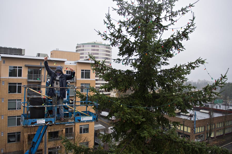 Jason Frizzell of J & J Roofing and Construction helps hang thousands of Christmas lights in the branches of a tree at the southeast corner of Esther Short Park on Monday morning. There will be no community lighting ceremony of the Vancouver Christmas tree this year because of COVID-19 concerns, but residents are welcome to drive by the tree to celebrate the season.