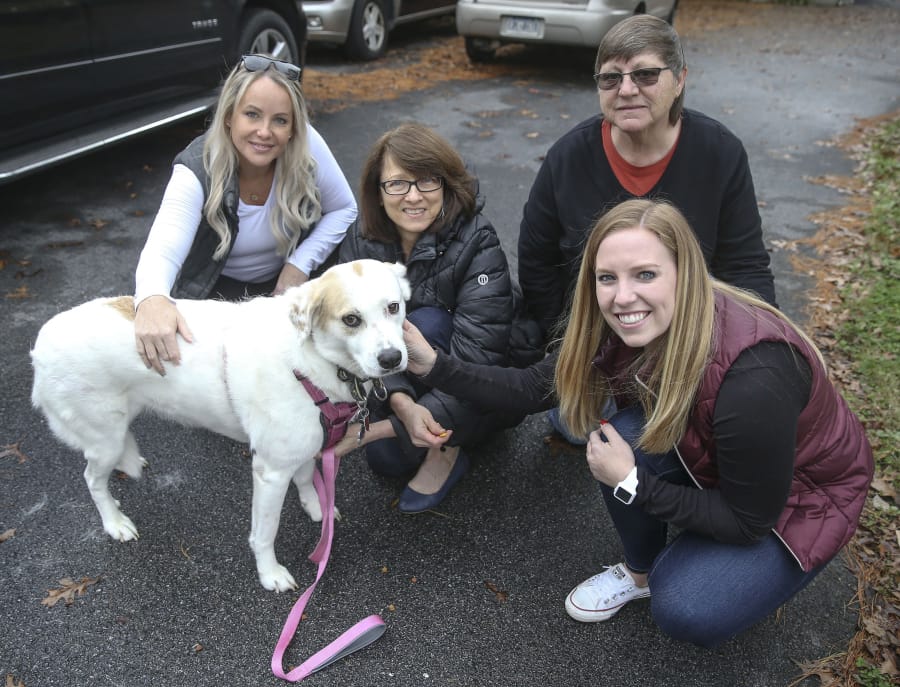 Pet finder Cathy Herman-Harsch (top right) and volunteers Tina (far left) and Jackie Burton (far right), pose with grateful client Karen Jackson (center) and her dog Trixie at the Jackon family&#039;s West Chester, Pa., home. (Steven M.