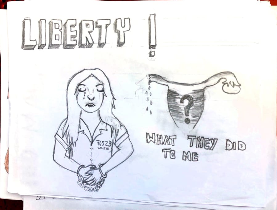 A detainee&#039;s drawing shows a question mark within a uterus. A growing number of women allege medical abuse, including forced sterilizations, at the Irwin County Detention Center in Georgia.