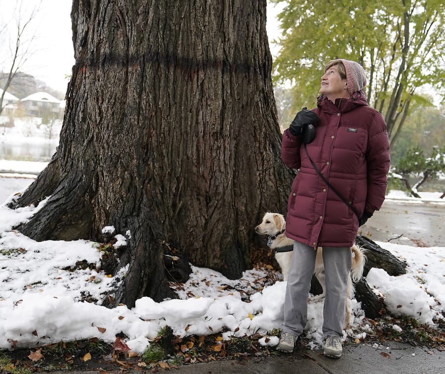 Kyla Wahlstrom led the fight to save the giant elm tree she has long admired while on walks in her Minneapolis neighborhood between Lake of the Isles and Cedar Lake.