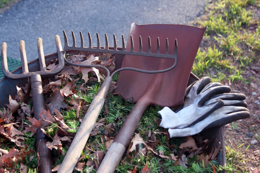 Some yard chores, such as removing dead plants that could spread disease or sharping to tools, will make your life easier in the spring.