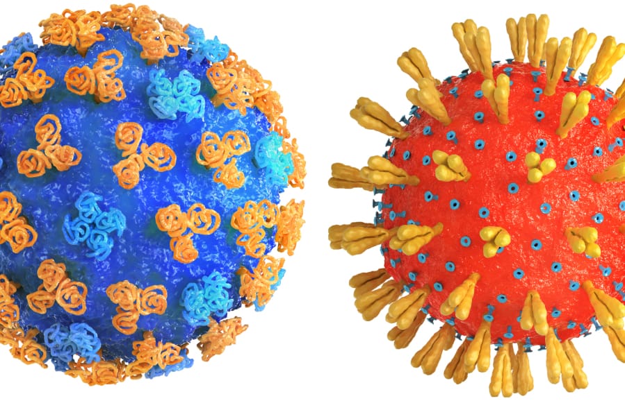 Influenza, left, and coronavirus (iStock.com)