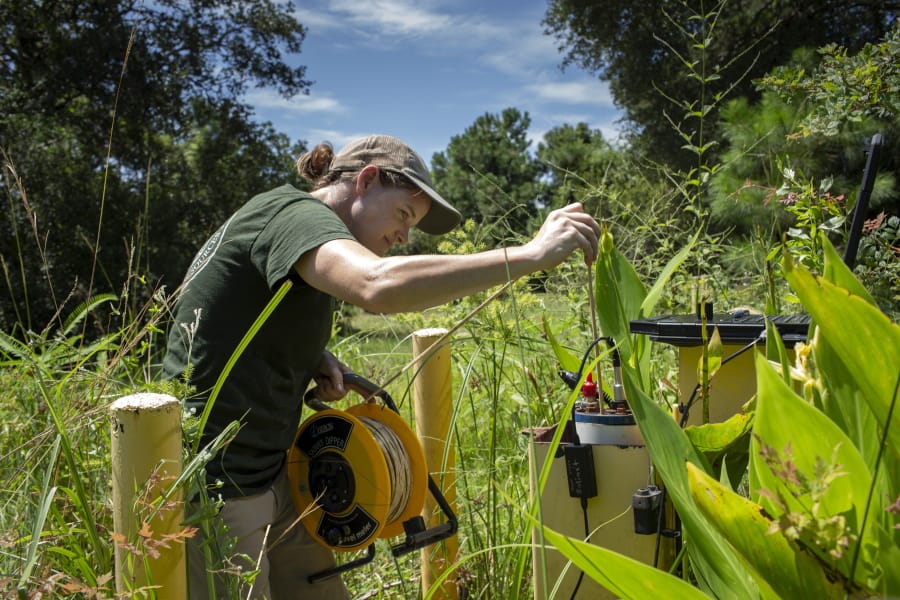 This photo provided by the University of Maryland shows Brooke Czwartacki taking a measurement in a well in Awendaw, South Carolina. Czwartacki regularly checks the salinity of well water as saltwater invades the state&#039;s aquifers.
