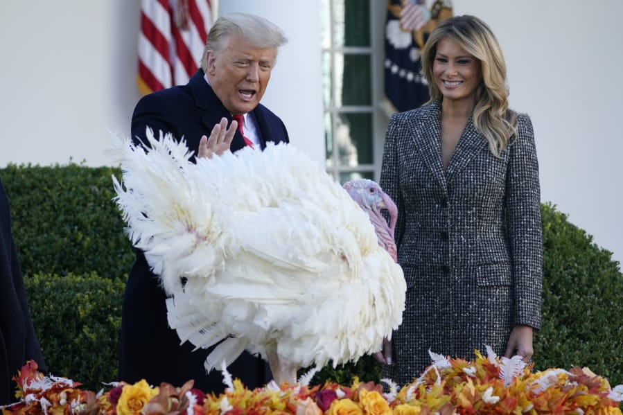 President Donald Trump pardons Corn, the national Thanksgiving turkey, in the Rose Garden on Tuesday as first lady Melania Trump watches.