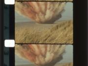 The unedited footage of the whale explosion near Florence, Oregon, is captured on 16mm color reversal motion picture film with a live audio track recorded directly on a magnetic stripe on the film.