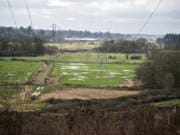 The city of Camas is acquiring 115 acres of land on the west side of Green Mountain, as seen Monday afternoon, with the intent of preserving open space.