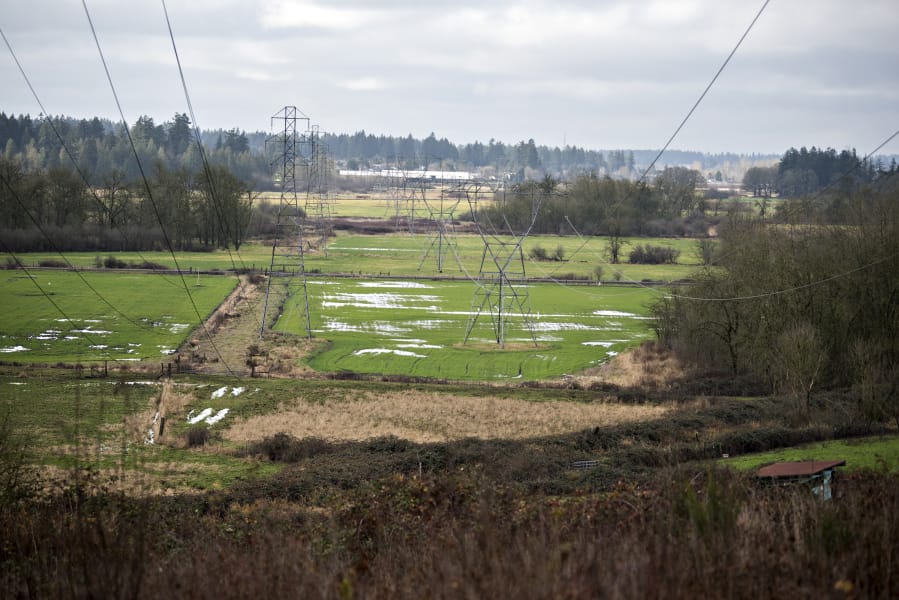 The city of Camas is acquiring 115 acres of land on the west side of Green Mountain, as seen Monday afternoon, with the intent of preserving open space.