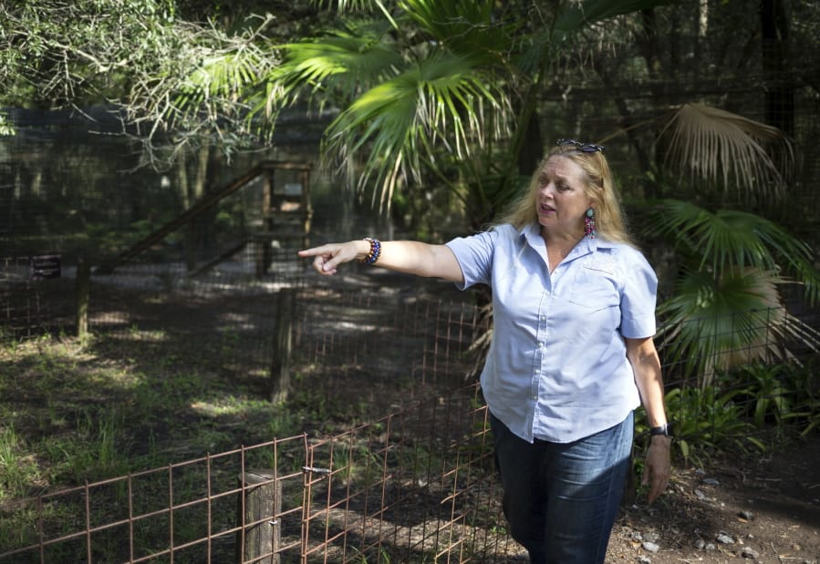 FILE - In this July 20, 2017, file photo, Carole Baskin, founder of Big Cat Rescue, walks the property near Tampa, Fla. Officials said, a female volunteer who regularly feeds big cats was bitten and seriously injured by a tiger Thursday morning, Dec.