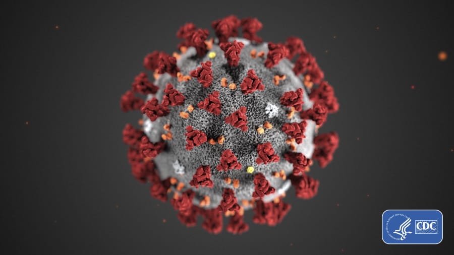 FILE - This illustration provided by the Centers for Disease Control and Prevention (CDC) in January 2020 shows the 2019 Novel Coronavirus (2019-nCoV). The prickly orb is on every news and medical site. It&#039;s all over TV and on flyers for COVID car cleaning.