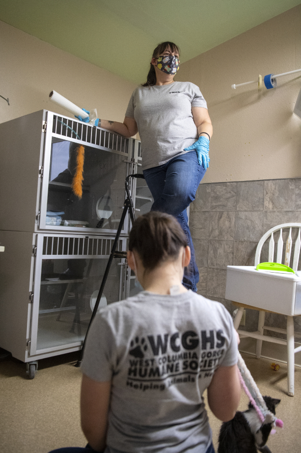 Volunteer Pamela Sanseri speaks to a reporter while her daughter, Gabrielle, plays with a cat in the intake room designated for new feline additions to the facility at the West Columbia Gorge Humane Society in Washougal.