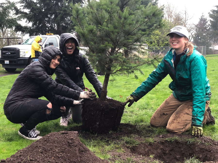 Community members participate in a tree-planting event at Ellsworth School Park in February 2020, just before the COVID-19 pandemic began. The pandemic derailed the city&#039;s plans to plant a thousand trees last year, and they leaned on private property owners to surpass the goal.