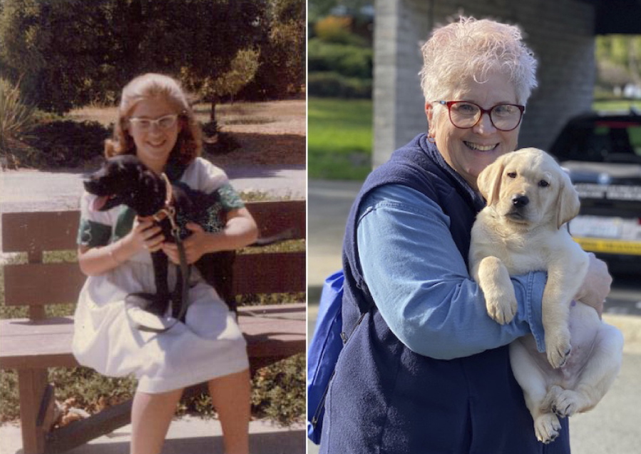 In the photo on the left, a 10-year-old Marybeth Hearn holds her first guide dog in training, Letta, in August 1962. Over 50 years later, in the photo on the right, Hearn holds her 55th puppy raised for Guide Dogs for the Blind, in Lemoore, Calif. For over five decades, the newly retired high school teacher has volunteered as a puppy raiser for the nonprofit, training 56 dogs on her own and 170 with her students in a local program she started.