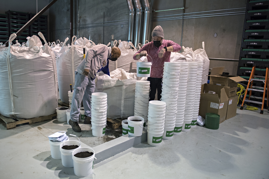 Al Graham, left, and Chris Smith of Backwoods Biochar load two-gallon buckets with Petey Green soil while working in Vancouver. The Vancouver-based company distributes biochar-infused cannabis soil.