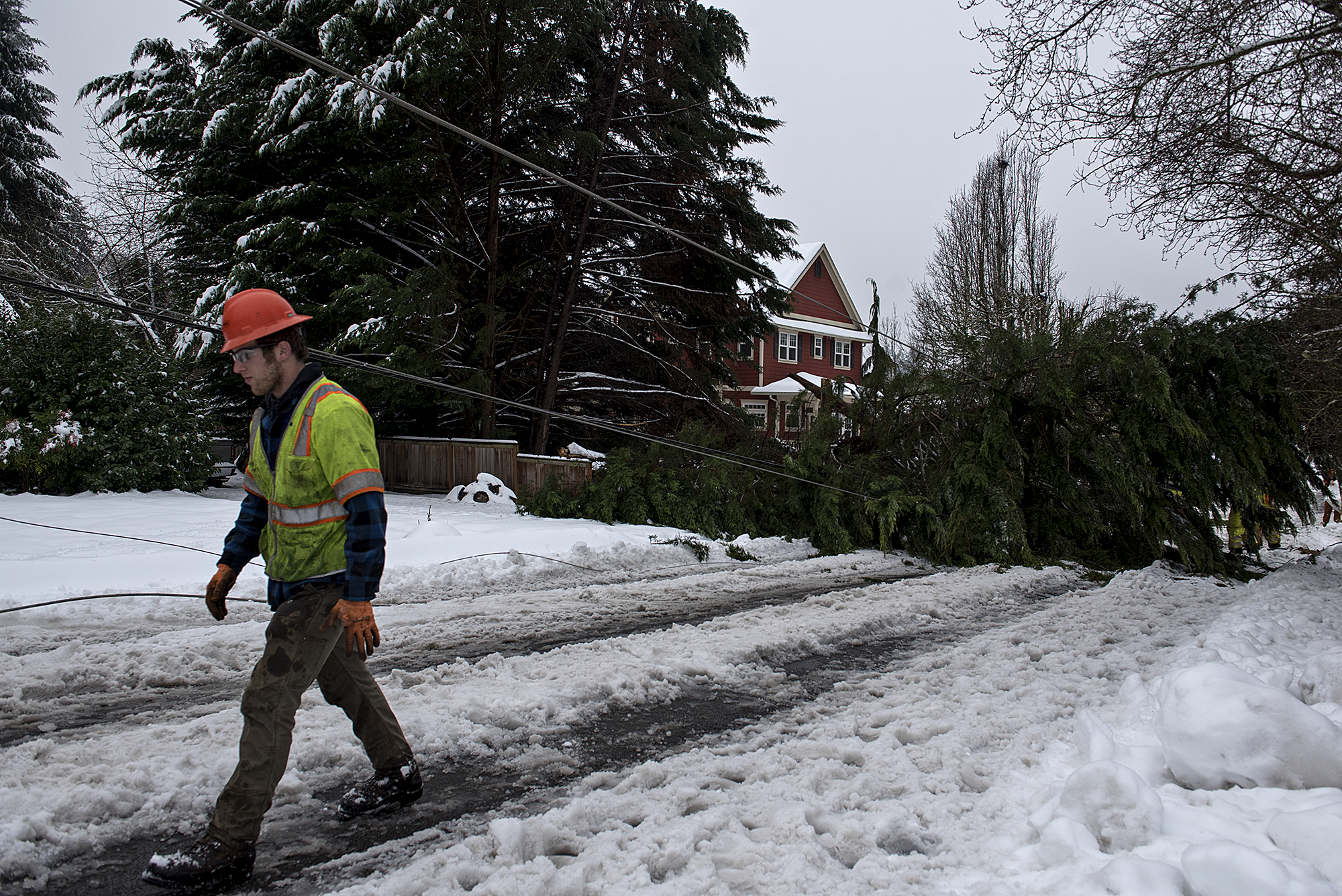 Parker McFadden of Asplundh lens a hand after a tree toppled power lines, knocked out power and closed Northeast 114th Avenue in both directions to traffic following an ice storm Monday morning, Feb. 15, 2021.