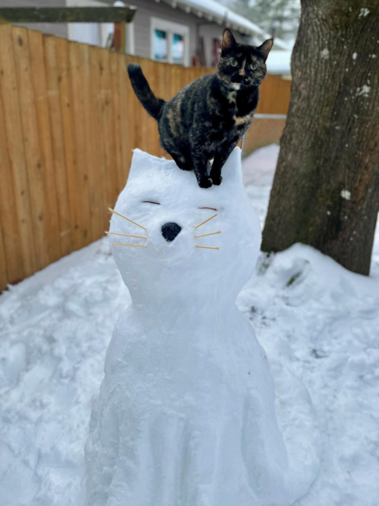 Live cats pose with neighborhood snow cat - The Columbian