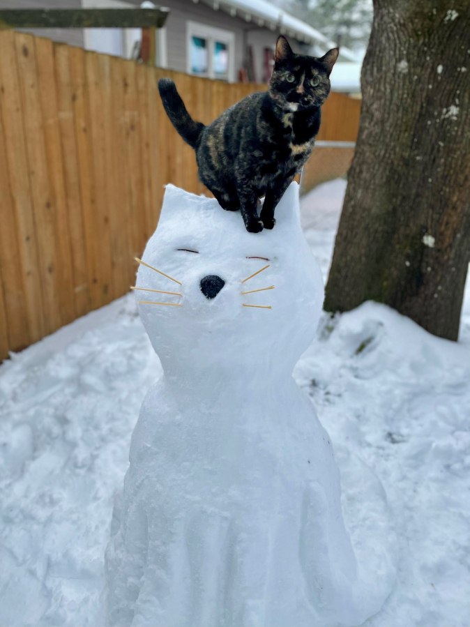 SHUMWAY: Cat owner Chelsea Pipek made a snow cat and posed her cat Taco on top.