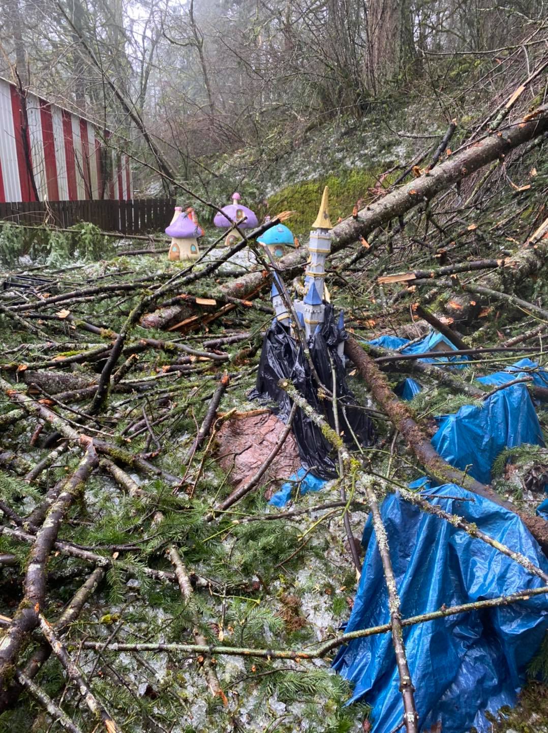 The snow and ice storms that hit the Northwest did serious damage to the Enchanted Forest theme park south of Salem, Ore.