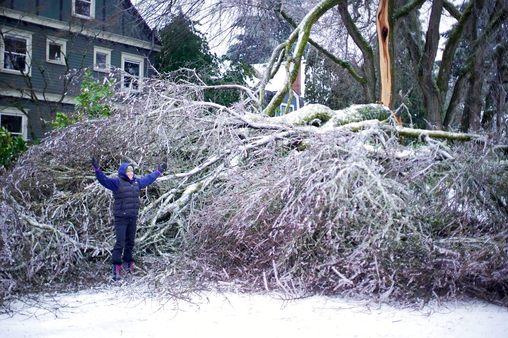 A resident poses by a large ice-covered tree along NE 24th Avenue, Monday, Feb. 15, 2021, in Portland, Ore., after a weekend winter storm toppled it.
