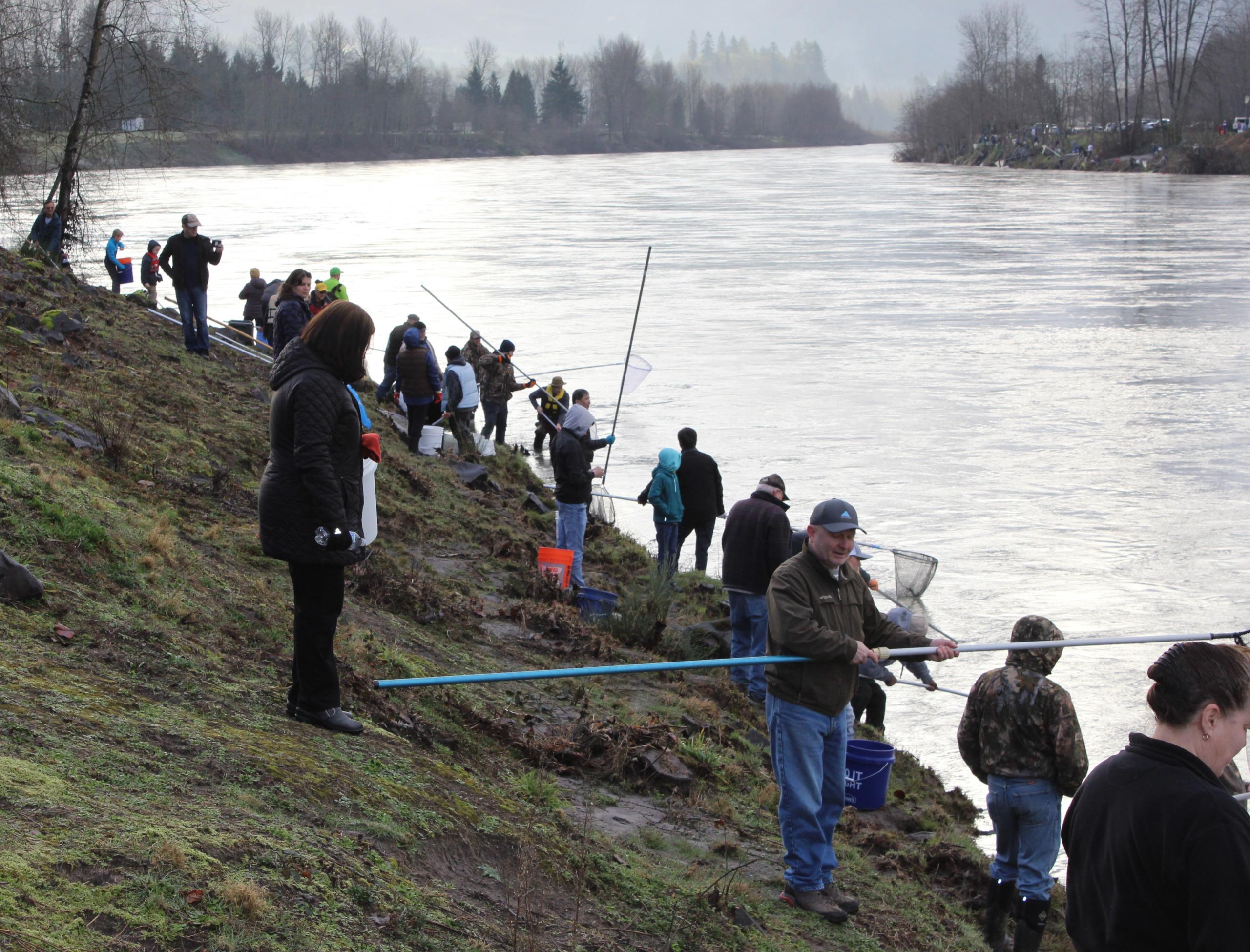 Portion of Cowlitz open for smelt on Tuesday The Columbian