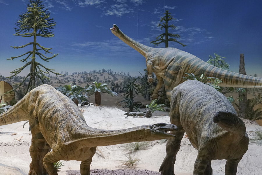 Plateosaurus models at the State Museum of Natural History in Stuttgart, Germany. Plant-eating dinosaurs such as these probably arrived in the Northern Hemisphere many millions of years later than their meat-eating cousins, according to a study published Feb. 16.
