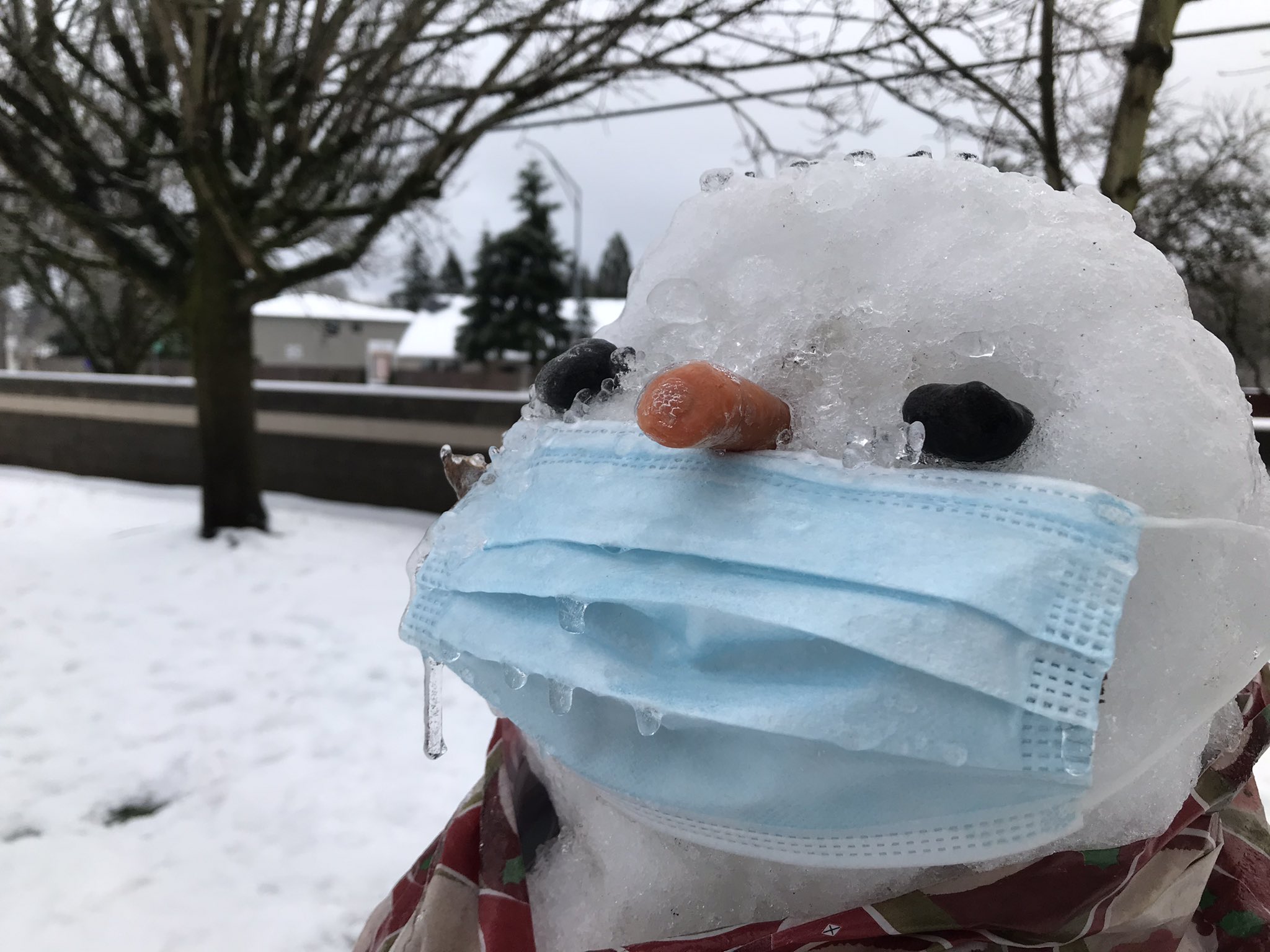 An icy snowman with a mask in East Vancouver.