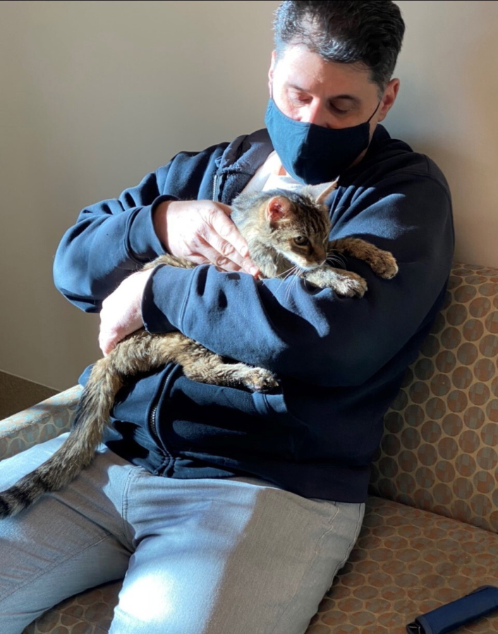 Brandy, a brown tabby cat, was reunited  with her owner, Charles after she went astray for 15 years.