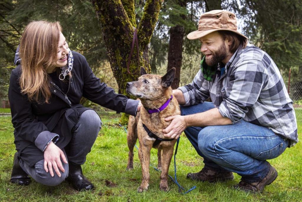 Chloe Wheeler, left, and Jon-Erik Hegstad love on their dog, Shirley, in their backyard on Feb. 5. The Longview couple recently reunited with Shirley after she went missing 15 months ago.