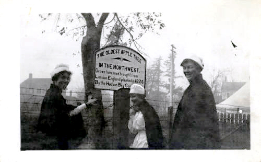 Military nurses pose for a photo in front of Vancouver&#039;s Old Apple Tree in 1918.