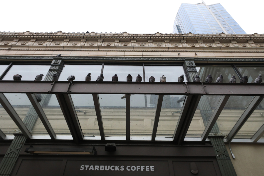 In need of a dopio macchiato? Pigeons take to the awning above the Starbucks across from the Pike Place Market in Seattle on February 3, 2021.