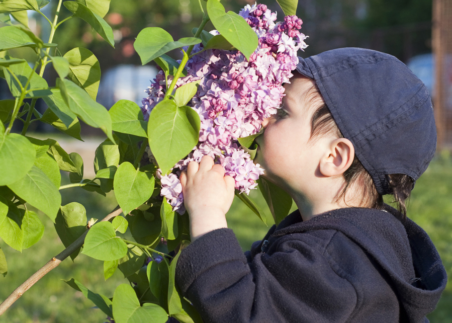 Finding children who are experiencing smell disturbances is tricky. Many with COVID are asymptomatic, and others may be too young to verbalize what they are experiencing.