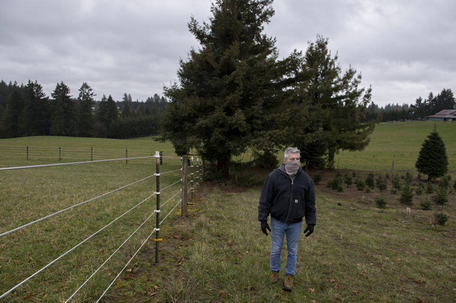 Nearby resident Bob Dingethal looks over a parcel of farmland, the potential future home of up to 533,000 cubic yards of imported material, on Feb. 22 in the Sara neighborhood of Clark County.
