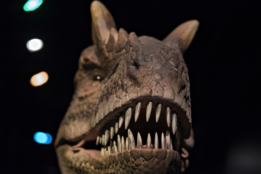 Now open: the terrifying jaws of an animatronic Allosaurus, and the  &quot;Dinosaurs Revealed&quot; exhibit at the Oregon Museum of Science and Industry.