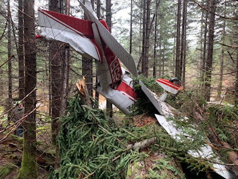 Two people suffered only minor injuries Monday when their small plane went down in a heavily wooded area near Gumboot Mountain on the Clark/Skamania County border.