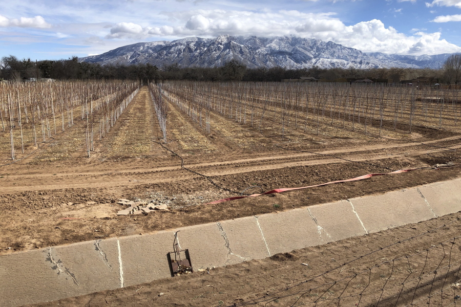 An empty irrigation canal is seen Feb. 17 at a tree farm in Corrales, N.M., with the Sandia Mountains in the background. Much of the West is mired in drought, with New Mexico among the hardest-hit states.