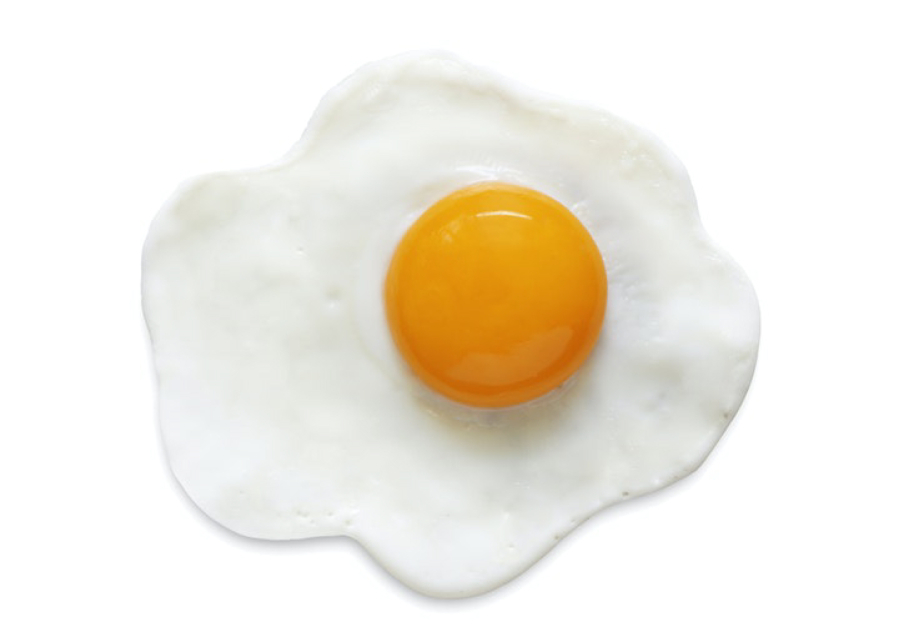 Have you ever found anything as weird as a fried egg in a book? It has happened!