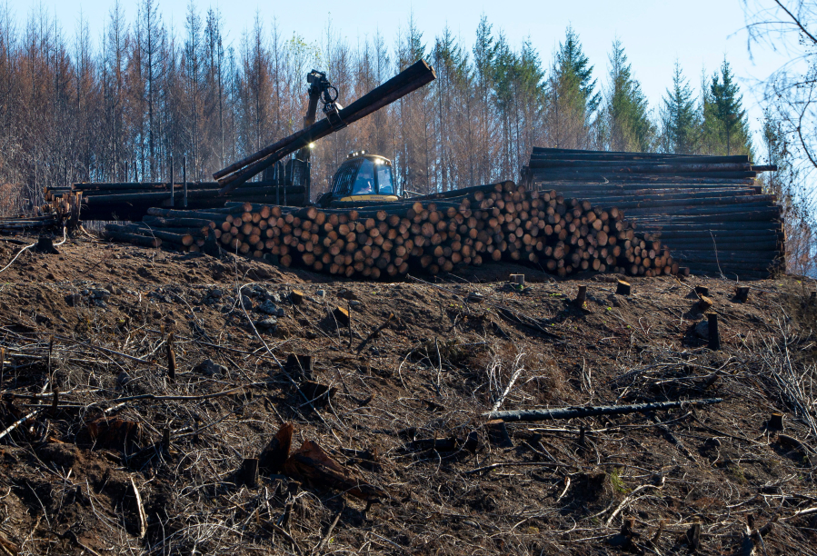 A loader piles logs above Finn Rock Landing on the McKenzie River as cleanup from the Holiday Farm Fire continues.