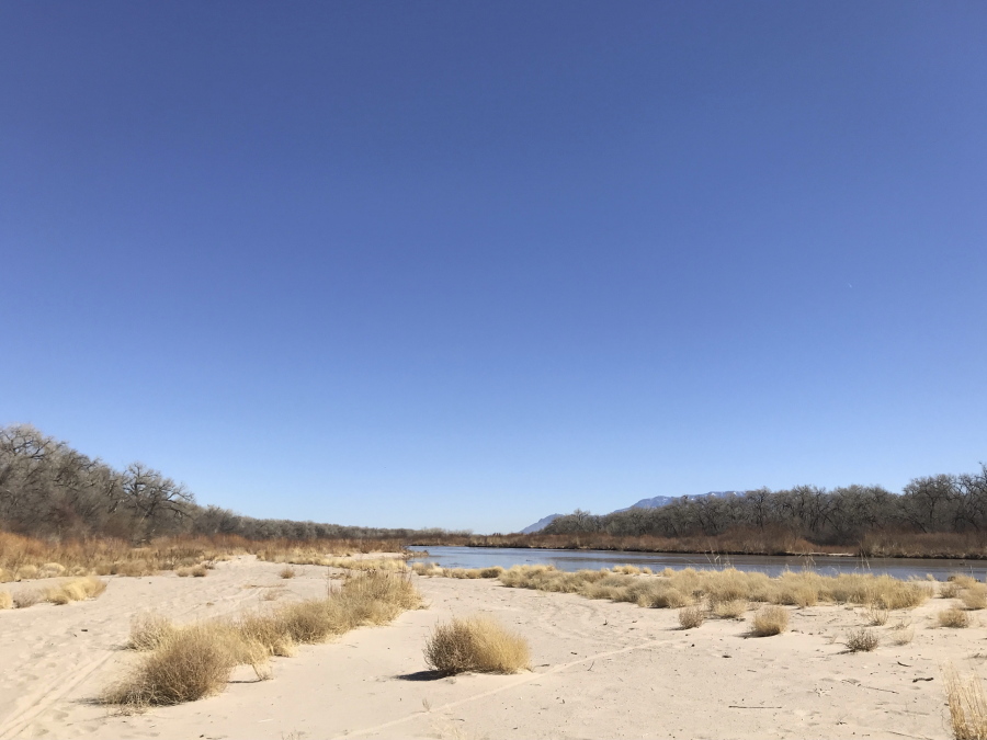 Tumbleweeds cover a sandbar along the Rio Grande on March 28 in Albuquerque, N.M. Like elsewhere in the Southwest, water managers in New Mexico are warning farmers that demand is expected to outpace supply this year.