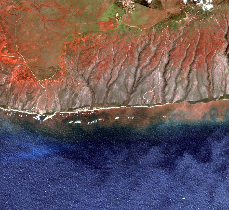 In this 2020 satellite image provided by the Arizona State University's Center for Global Discovery and Conservation Science, Allen Coral Atlas, runoff from the island of Molokai in Hawaii flows into the ocean. Recent flooding in Hawaii caused widespread and obvious damage. But extreme regional rain events that are predicted to become more common with global warming do not only wreak havoc on land, the runoff from these increasingly severe storms is also threatening Hawaii's coral reefs.