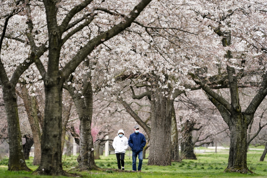FILE - In this April 2, 2021, file photo, Janet Nemec, left, celebrates receiving her second vaccination dose with her husband Dale with a walk beneath blossoming trees along Kelly Drive in Philadelphia. Nearly half of new coronavirus infections nationwide are in just five states, including Pennsylvania - a situation that puts pressure on the federal government to consider changing how it distributes vaccines by sending more doses to hot spots.