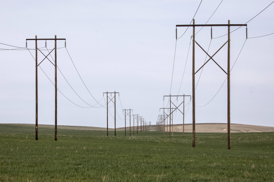 BPA lines already installed, seen on Friday, April 2, 2021, would carry the electricity from a proposed solar and wind project in the Horse Heaven Hills.