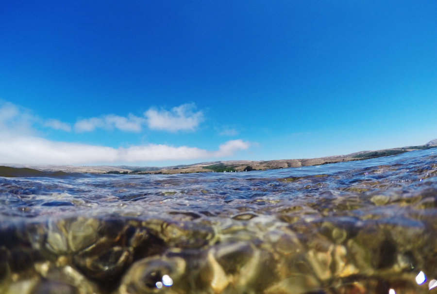 POINT REYES NATIONAL SEASHORE, CA - JULY 20, 2016: Clear water and deep blue sky at Tomales Bay on July 20, 2016 in Point Reyes National Seashore, California.