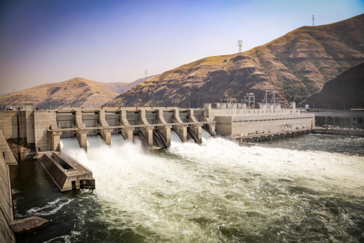 The Lower Granite Dam on the Snake River is one of four dams on the Snake River that would be slated for removal in proposal made by an Idaho congressman.