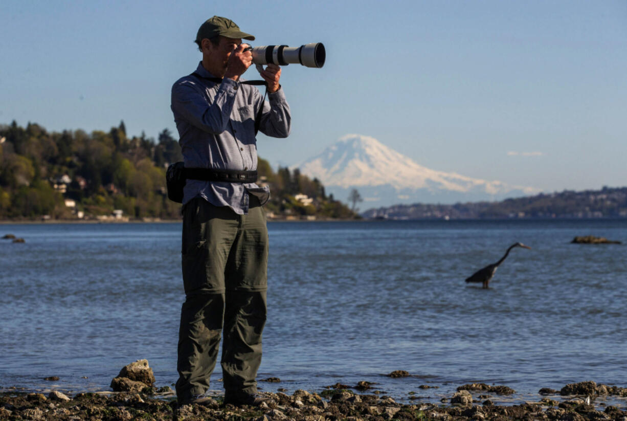 Peter Cavanagh is an award-winning wildlife photographer and a retired University of Washington professor who lectures on the mathematics of bird flight. Behind Cavanagh is great blue heron, on April 15, 2021, at West Point Light House Beach in Seattle's Discovery Park.