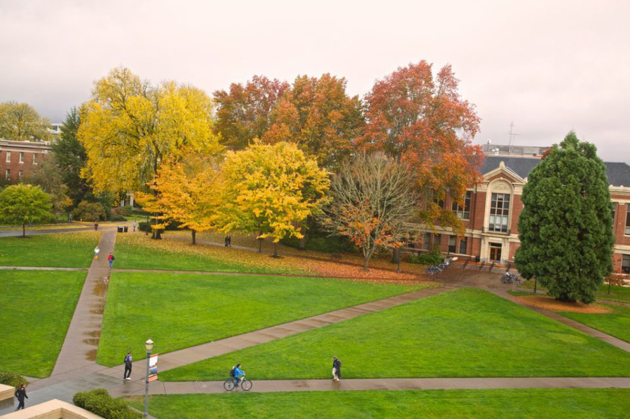 Corvallis, Oregon--November 1, 2012-- Looking out of Valley Library onto the campus at Oregon State University.