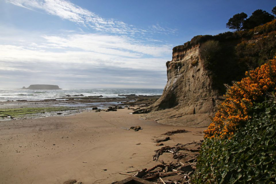 The view of Otter Crest Beach from the stairs leading down from the Inn at Otter Crest, built on the cliffs just above on the central Oregon coast.
