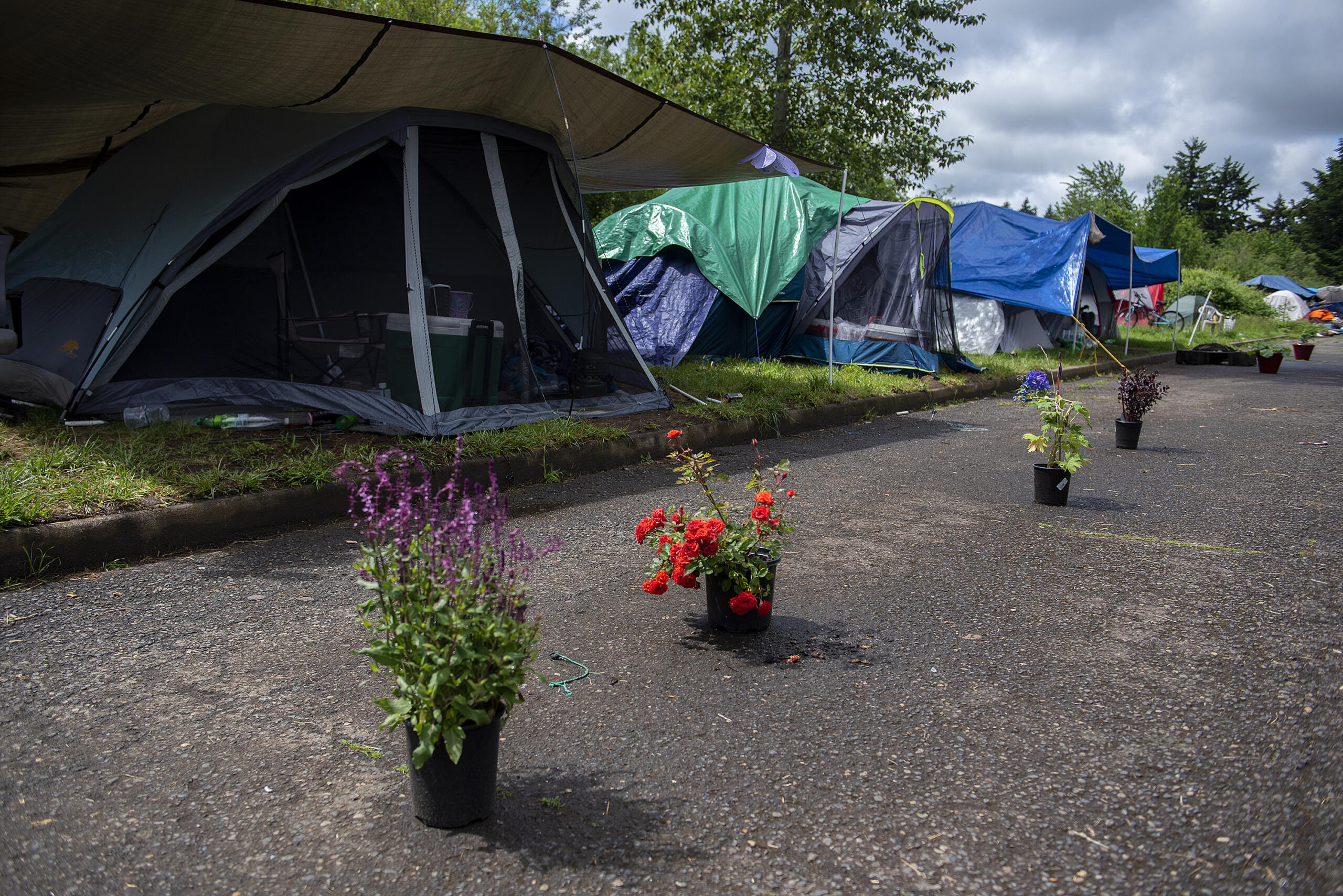 Springtime flowers brighten the day of residents at a homeless encampment In northeast Vancouver on Tuesday morning, May 25, 2021.