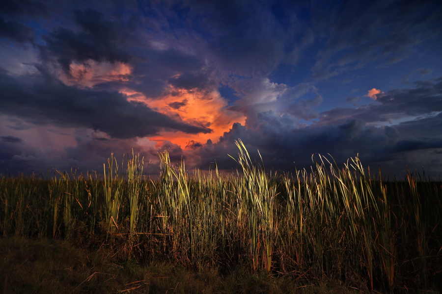 FILE - In this Oct. 20, 2019 photo, a clearing late-day storm adds drama in the sky over a sawgrass prairie in Everglades National Park in Florida.  The Biden administration is outlining a plan to sharply increase conservation of public lands and waters over the next decade. A report to be issued Thursday recommends a series of steps to achieve a nationwide goal to conserve 30% of U.S. lands and waters by 2030. (AP Photo/Robert F.