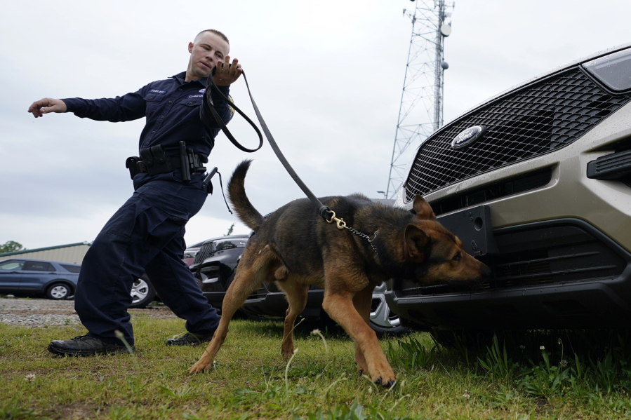 Virginia State Police K-9 officer Tyler Fridley, works his dog Aries at State Police headquarters  in Richmond, Va., Monday, May 10, 2021. Drug-sniffing police dogs from around Virginia are being forced into early retirement as the state prepares to legalize adult recreational use of marijuana on July 1.